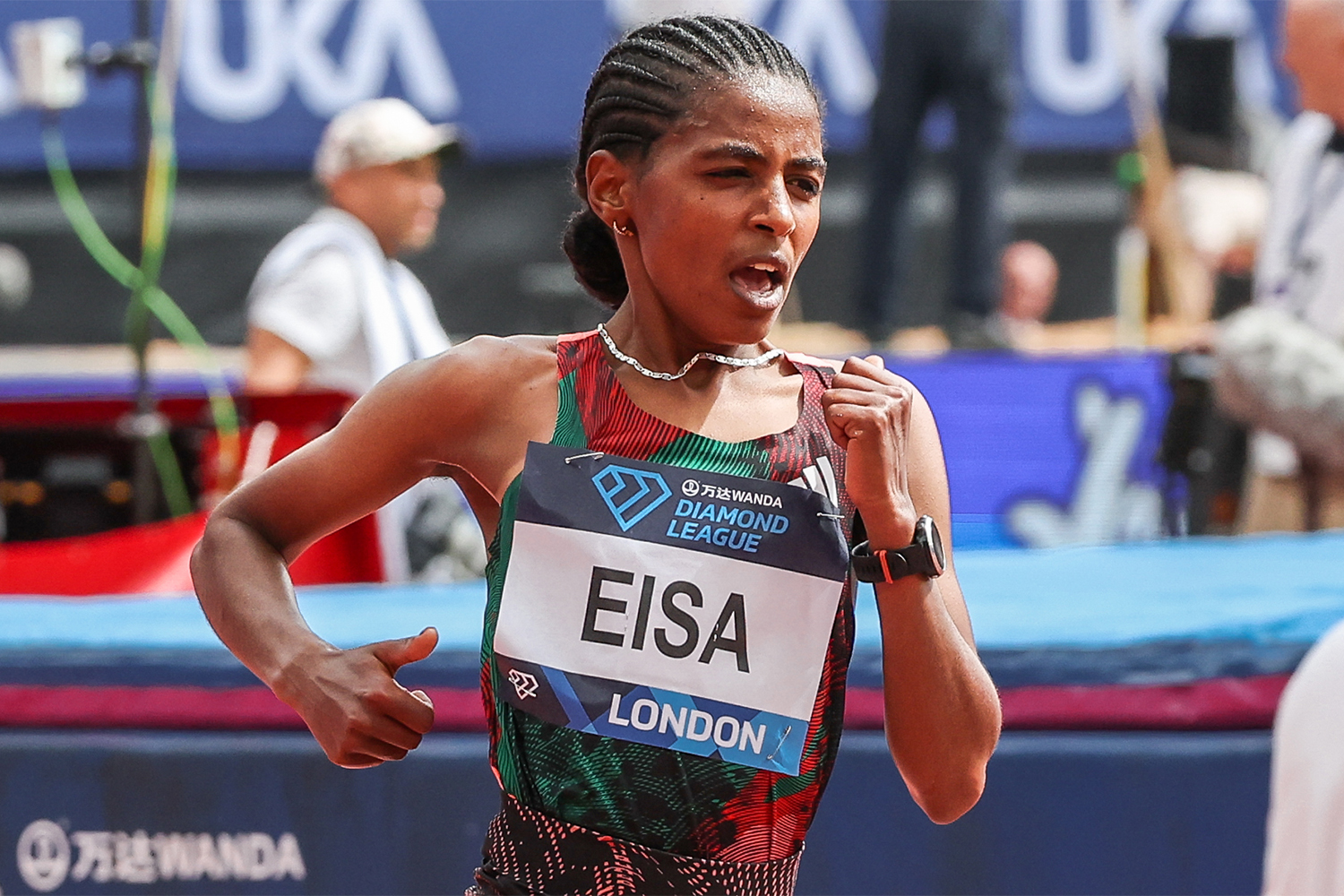 Medina Eisa